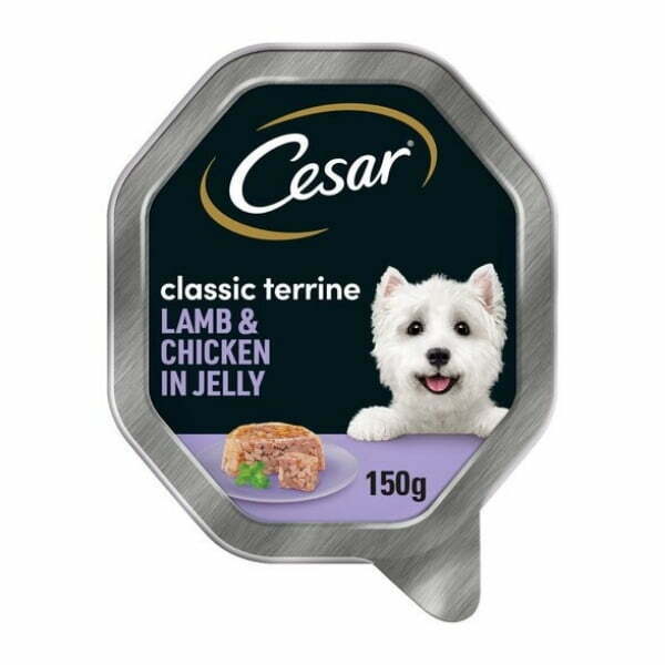 1621887086 Untitled20design2047.jpg