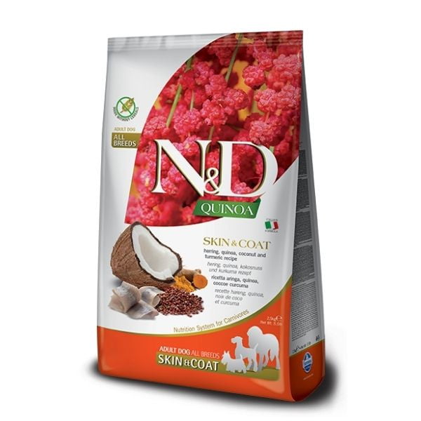 1626782289 הרינג קינואה.jpg