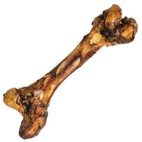 1626782328 עצם דינו 45 סמ.jpg