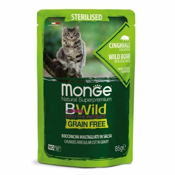 1650376827 מונג20בי20ויילד20חזיר20בר201.jpg