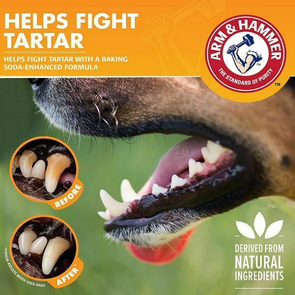 1657104485 תרסיס20טרטר.jpg