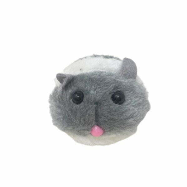 1658819940 עכבר20רוטט.jpg