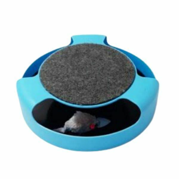 1658821189 צעצוע20לחתול.jpg