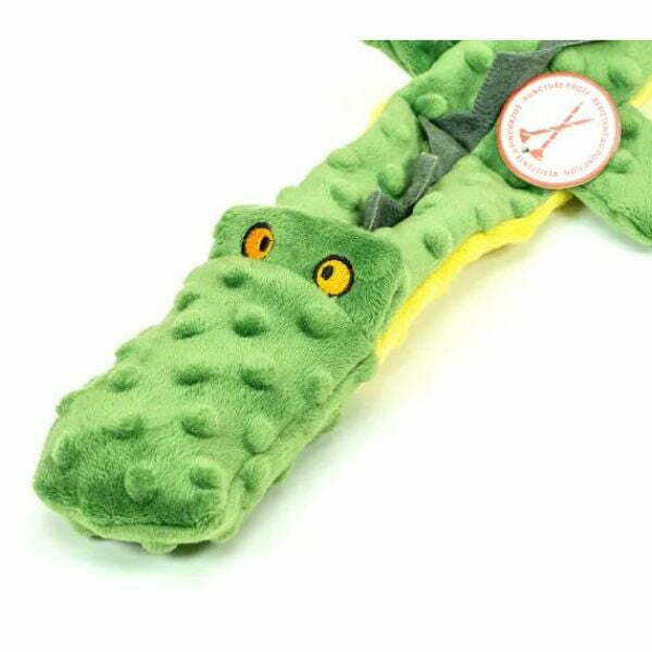 1659366131 גלוריה20נחש20ארוך.jpg