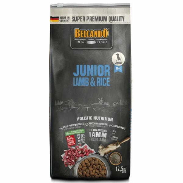 1665845182 בלקנדו20גוניור20כבש.jpg