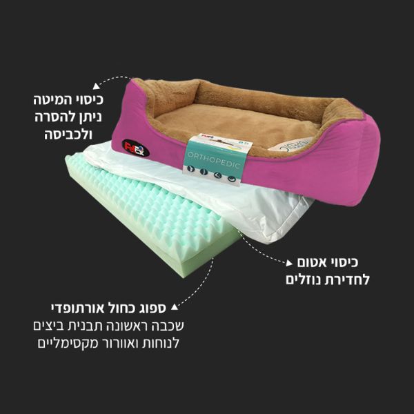 1670350094 פטקס.jpg