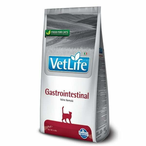 1680409136 וט לייף גסטרו חתול 1.jpg