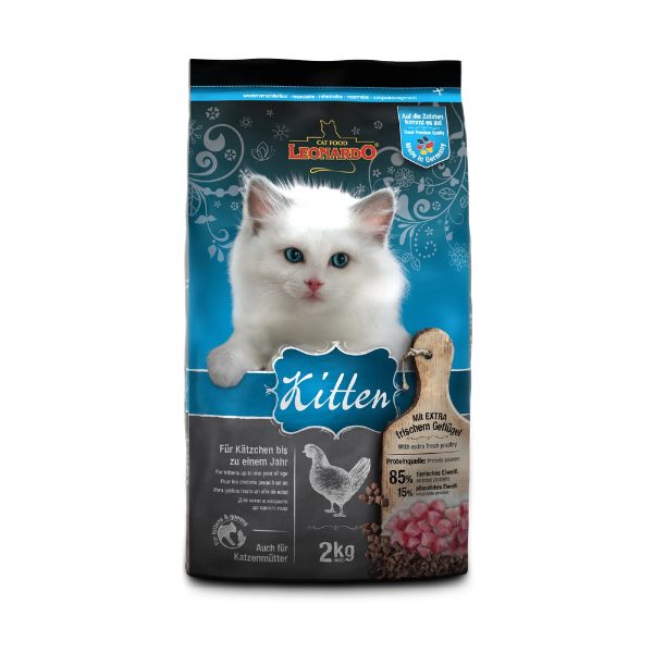 1687840329 לאונרדו20גורים.jpg