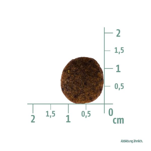 1694285924 גודל20כופתית.jpg