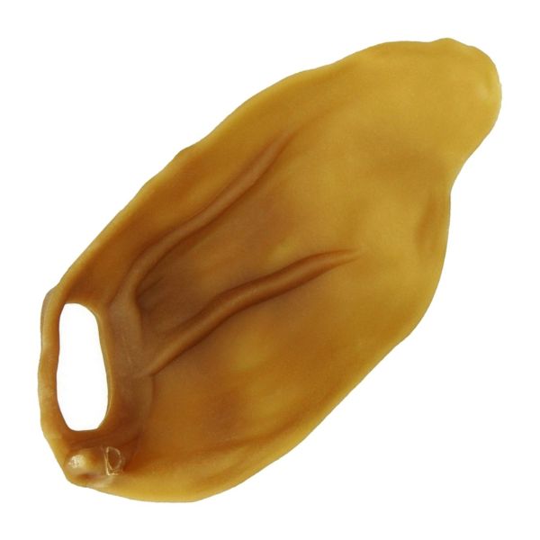 1694712080 וומיזיז20אוזן20צמחית.jpg