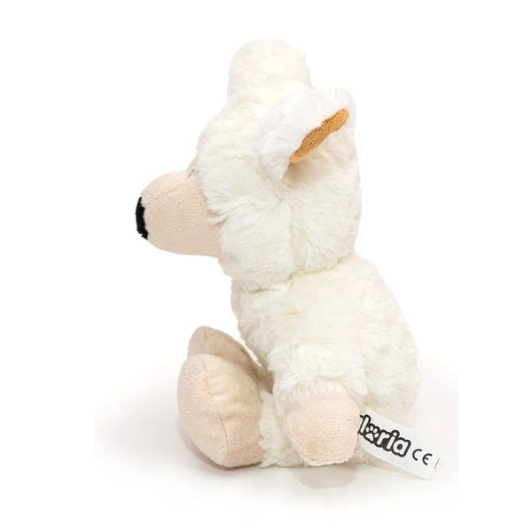 1700504711 גלוריה20כבשה201.jpg