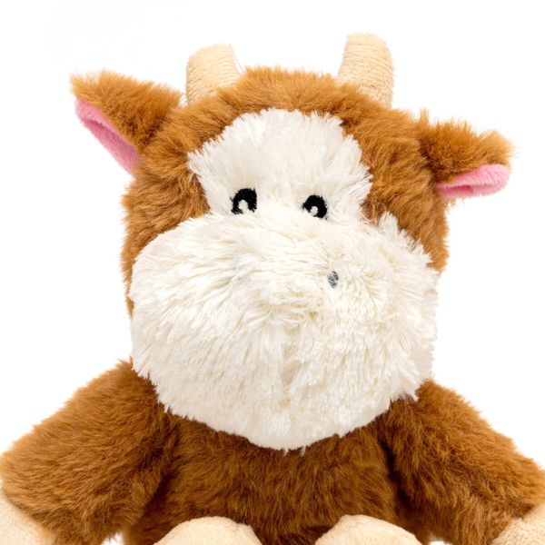 1701206408 גלוריה20פרה201.jpg