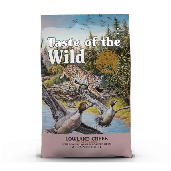 1706605312 טייסט206.6.jpg