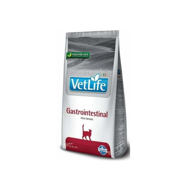 1721386779 וט20לייף20220קג.jpg