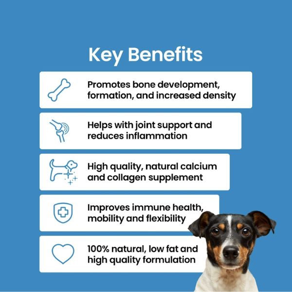 1722503461 בריליאנט20אבקה201 1.jpg