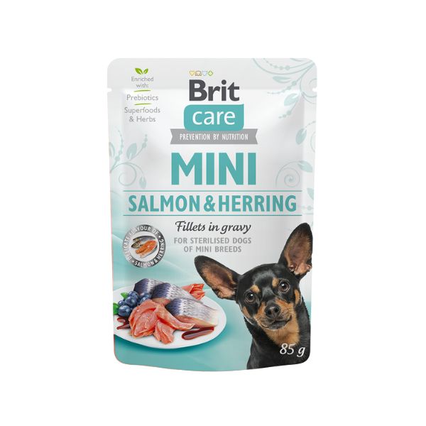 1737318979 בריט20קר20מיני20סלמון20והרינג.jpg