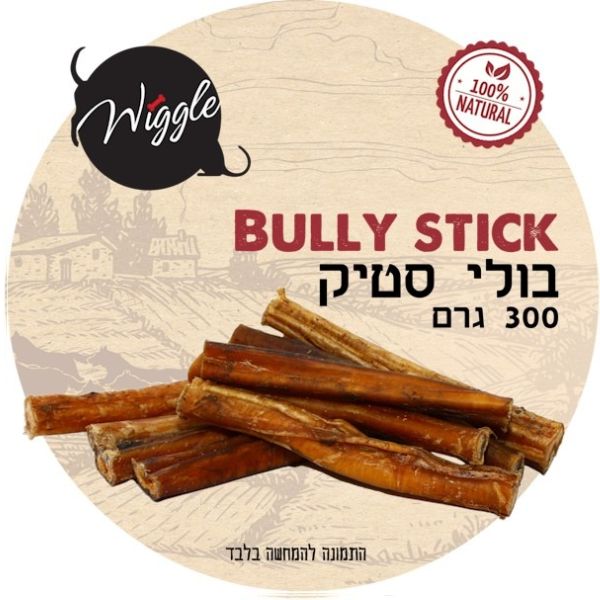 1742327505 בולי20סטיק20חסכון.jpg