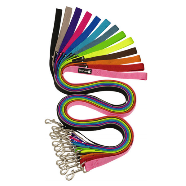 1747654190 Petproject Basic Leash 1.png