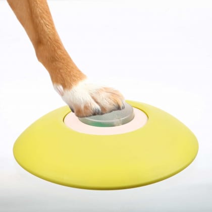 191785 Pho Pro Dog Clip 32040 1.jpg