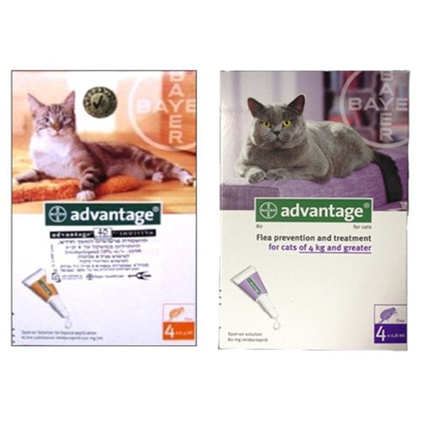 Advantage Cat.jpg