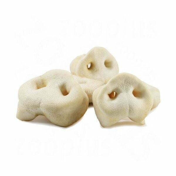 אף של חזיר 1.jpg