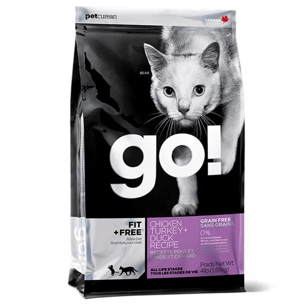 גו פיט חתולים.jpg