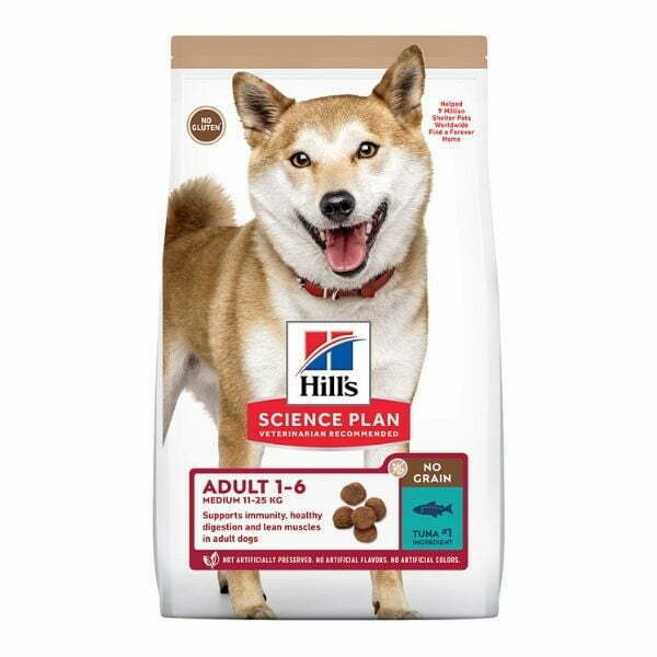 הילס טונה.jpg