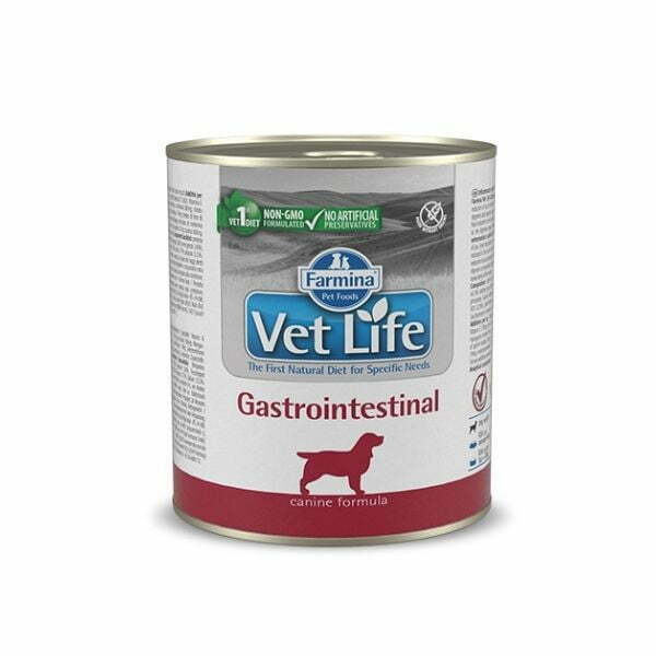 וט לייף גסטרו כלב.jpg