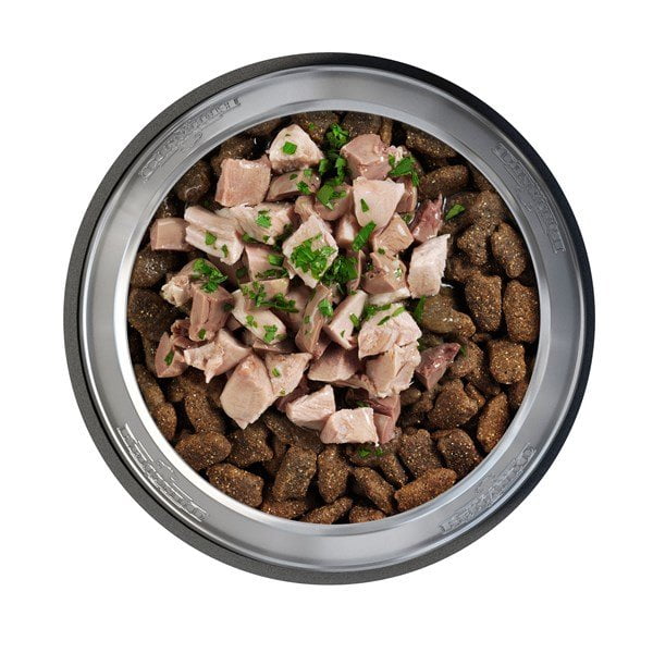 טופינג הודו 3.jpg