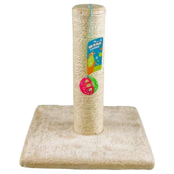 פטס פרוגקט לבן.jpg