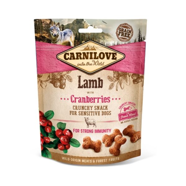 קארנילב כבש.jpg