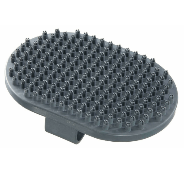 Untitled Design 1 3.png