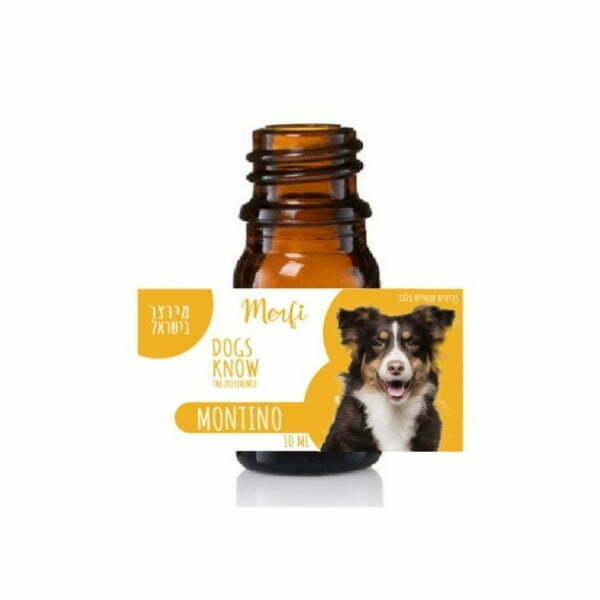 Untitled Design 18.jpg