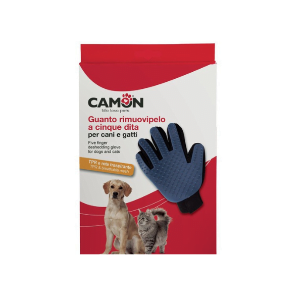 Untitled Design 2.png