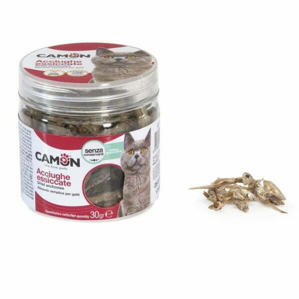 Untitled Design 9 3.jpg