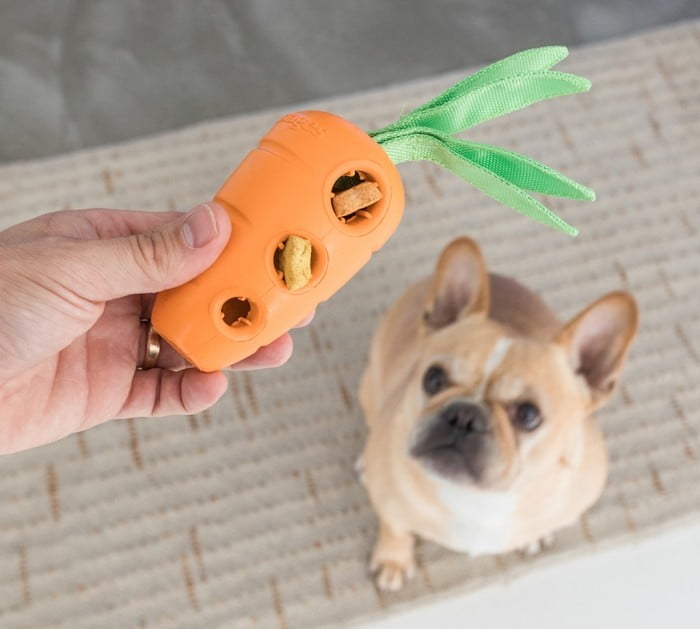 Petstages Carrot Stuffer Dog Treat Toy.jpg