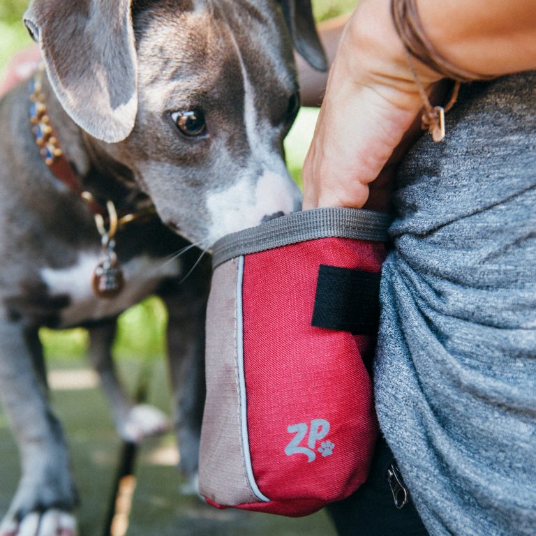 Treatbag3 768x768 1.jpg