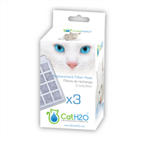 1617607635 265442 01efc5e5184f44eaa35ba6abb7675c4d Mv2.png