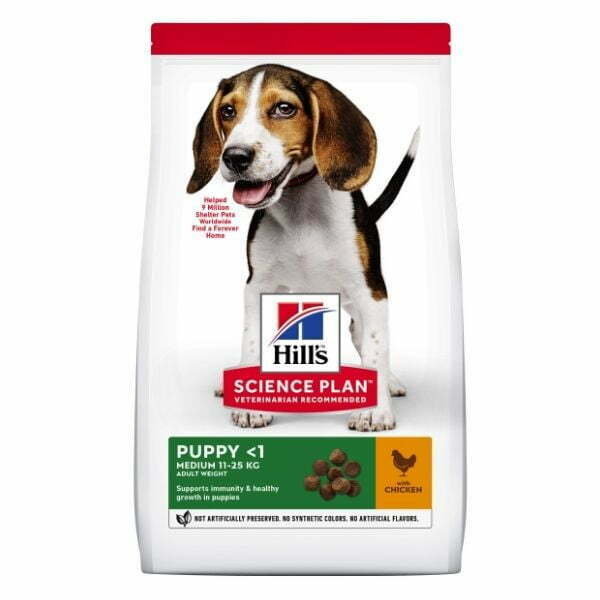 1620327015 הילס20גור20עוף.jpg