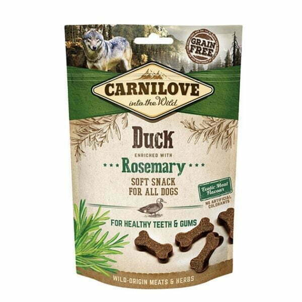 1620568811 קארנילב20חטיף20ברווז.jpg