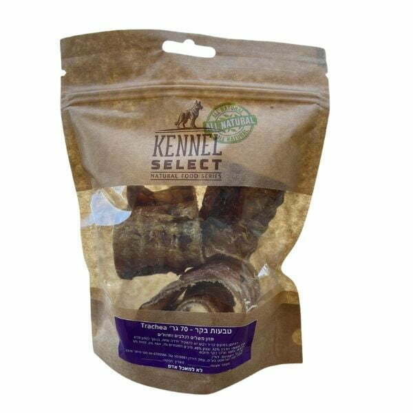 1622034269 ושט20בקר.jpg