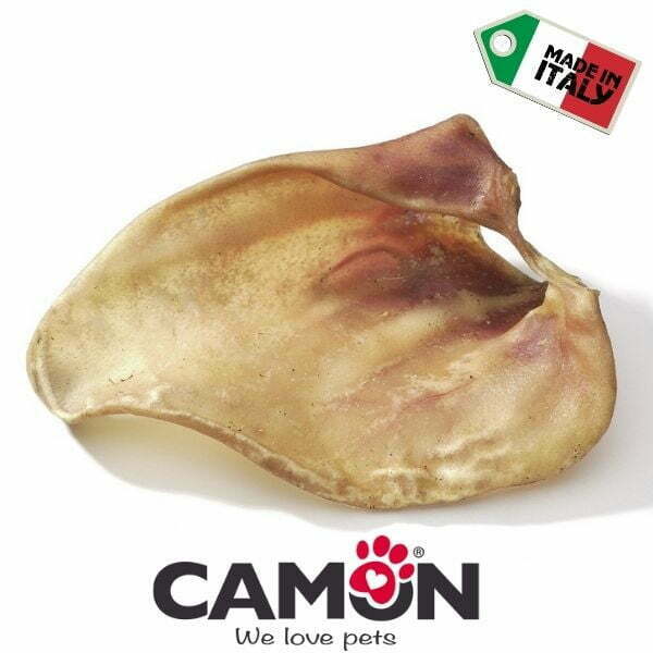 1622140227 קמון20אוזן20חזיר.jpg