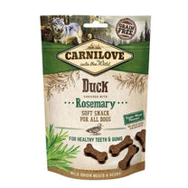 1626781931 1620568811 קארנילב20חטיף20ברווז.jpg