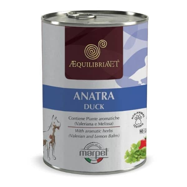 1626782061 אקוליברייה ברווז.jpg