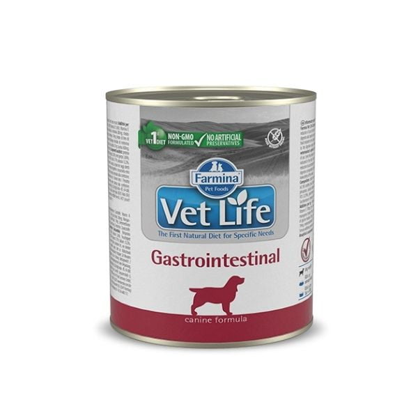 1626782283 וט לייף גסטרו כלב.jpg