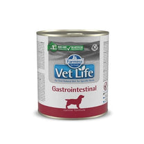 1626782283 וט לייף גסטרו כלב.jpg