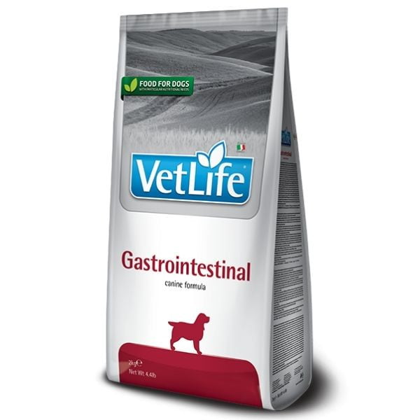 1626782285 וט לייף גסטרו.jpg