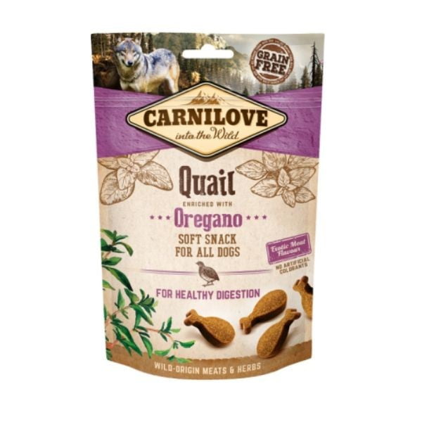 1626782322 קארנילב סליו.jpg