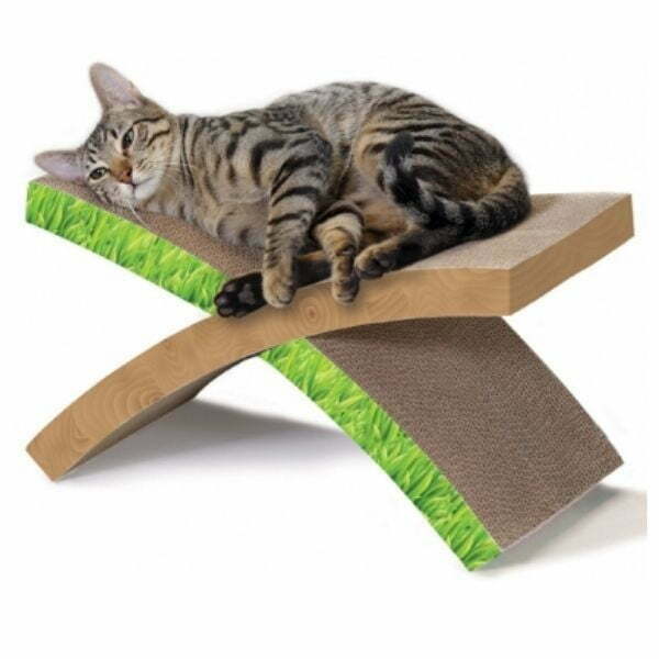 1628261295 משטח20גירוד20202.jpg