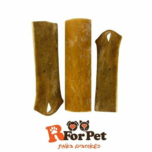 1629832516 R4pet20בולי20סטיק.jpg